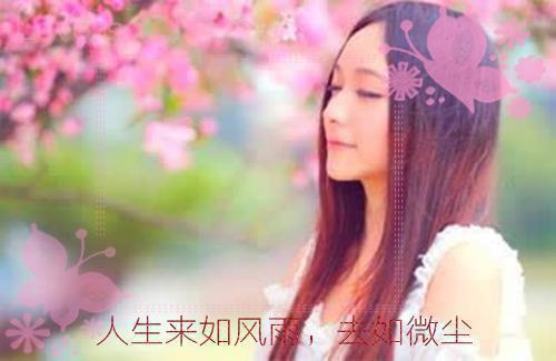 扶摇最新更新 柳云云赵昱强小说在线阅读