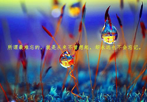 (最新)江彻周澈小说完整版免费阅读