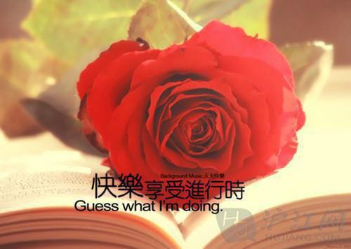 全文浏览爱意散落黄昏后（苏见微周叙深）_爱意散落黄昏后（苏见微周叙深）全文结局