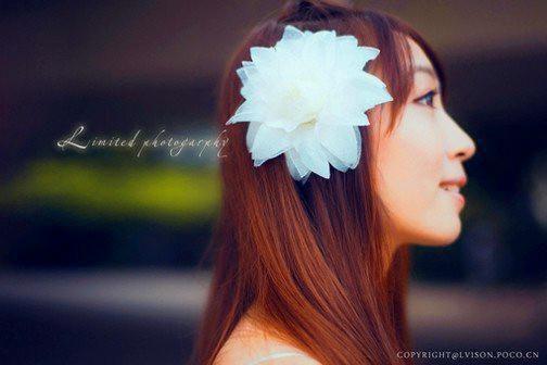 苏漾柠沈廷翊小说在线阅读 苏漾柠沈廷翊最新章节目录