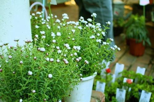 叶清妍裴墨宵最新章节免费 叶清妍裴墨宵第4章在线阅读