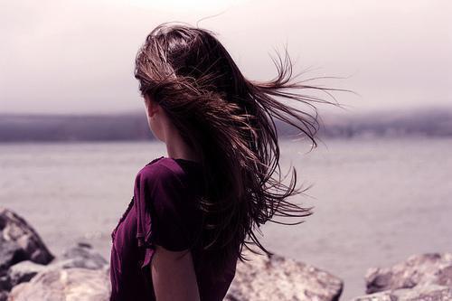 霍宴秦兮霍青陆鸢小说在线阅读 霍宴秦兮霍青陆鸢最新章节目录