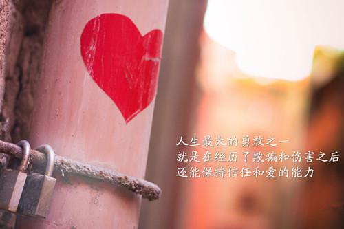 沈云飞程心柔小说全免读 沈云飞程心柔在线阅读