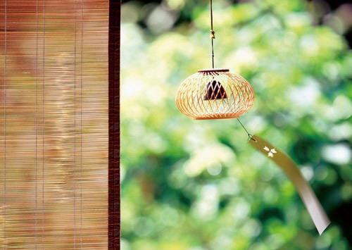 江言沈濯免费小说 江言沈濯全文阅读目录