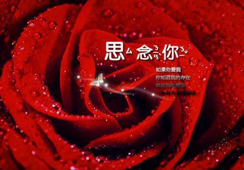 陆棠雪顾禹城的故事 陆棠雪顾禹城章节阅读