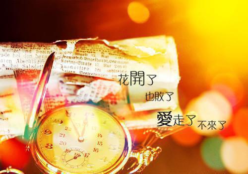 转身即漫漫霜华：+后续+结局小说顾司爵叶诗言全文免费阅读转身即漫漫霜华：+后续+结局小说顾司爵叶诗言最新章节列表_笔趣阁（顾司爵叶诗言）