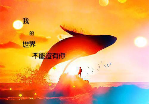 黄昏跌落你眼眸免费试读 沈南风陆星沉小说第4章