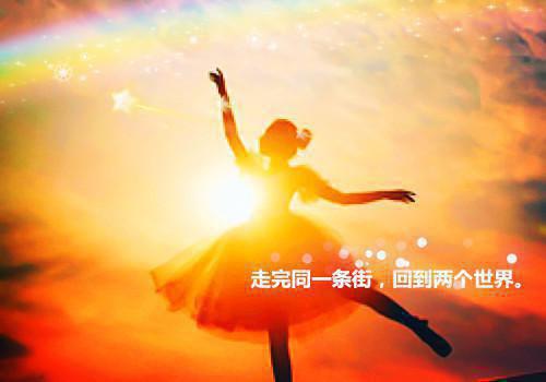 父母让我给真千金做实验品后悔疯张欢沈航by一起收地瓜