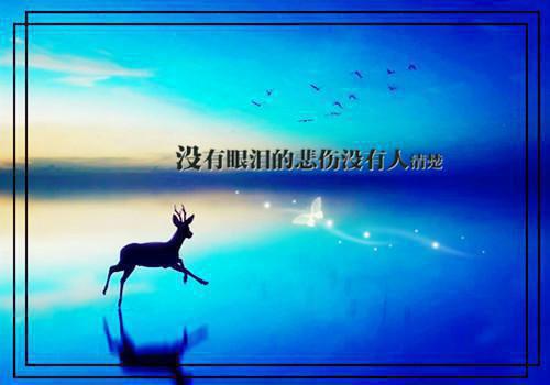 裴舒瑶李越泽全文免费 裴舒瑶李越泽在线阅读