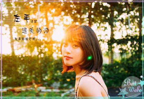 《春锦春寒温小说》无弹窗全文免费阅读