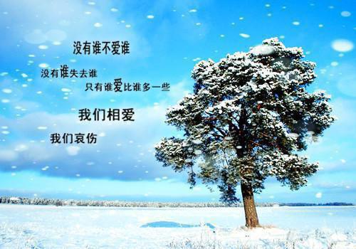 痴傻三年：将军嫡女回府杀疯了最新更新 宋玥李承渊免费读
