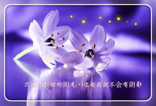 李宴辞苏愿小说完本(李宴辞苏愿)（谋高嫁）前传+整本阅读全新作品预订