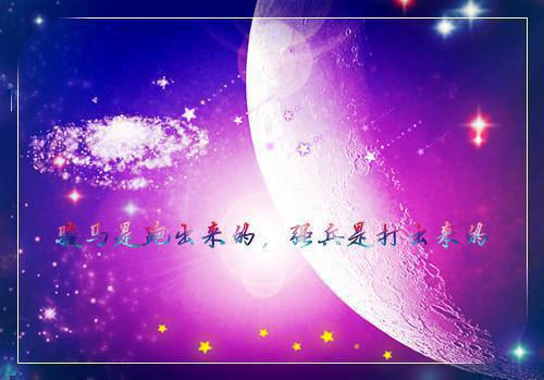 叶南栀陆闻洲无广告 叶南栀陆闻洲在线免费阅读