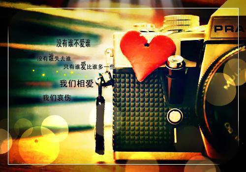全本请在我的葬礼上说爱我：结局+番外（安梨浅江映辰）最新章节列表_请在我的葬礼上说爱我：结局+番外全文阅读