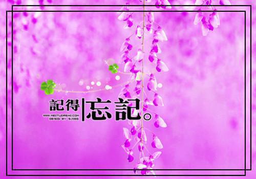 林默小白小说章节目录 林默小白免费阅读第3章
