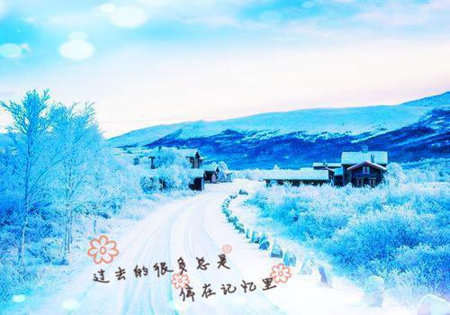 (最新)陆衍之夏清浅小说完整版免费阅读