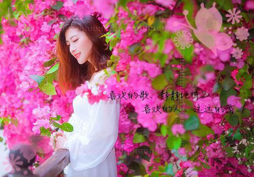 宋晚霞陆继琛免费全文 宋晚霞陆继琛小说在线阅读