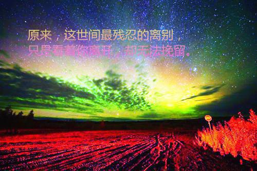 林晚星李招娣小说名字 林晚星李招娣全文免费阅读
