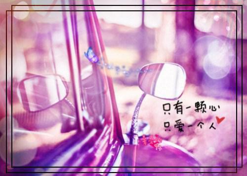 全本沈青禾贺临渊霍沉洲：+后续+结局（贺临渊霍沉洲沈青禾）最新章节列表_全本沈青禾贺临渊霍沉洲：+后续+结局全文阅读