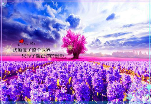 死后才出现的爱意：+后续宝藏文（关稚关晏）最新章节列表_死后才出现的爱意：+后续宝藏文全文阅读
