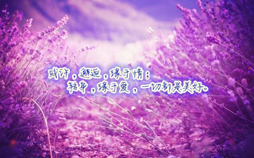 乔棠婳崔奕涵小说在哪里看 乔棠婳崔奕涵在线阅读第5章