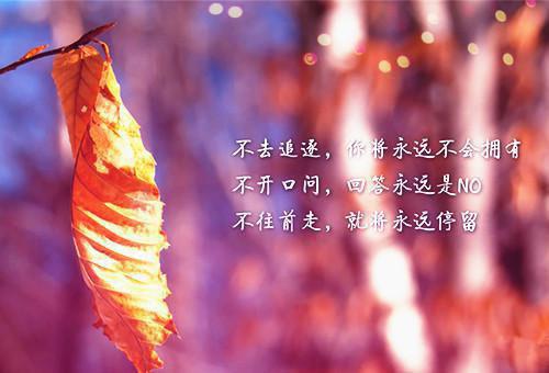 石书颖林出野完整版 石书颖林出野小说全文在线阅读