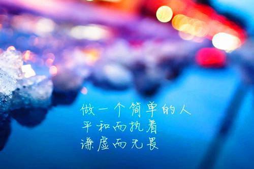 秦宛陆铭大结局免费阅读 秦宛陆铭全文小说