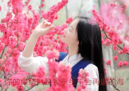 萧奔柳黎小说 萧奔柳黎完整版免费阅读