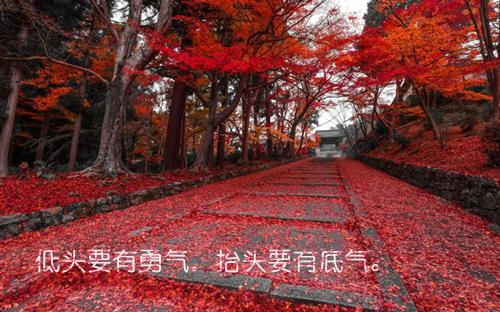 苏郁江洲小说章节目录 苏郁江洲免费阅读第8章