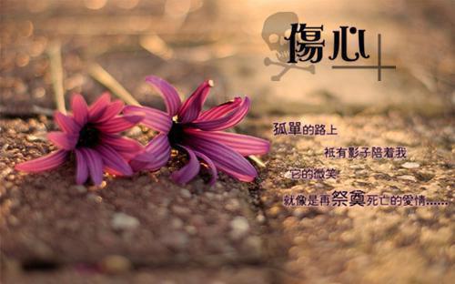 前传梦里灯火不渡我许砚寒续集:全文+番外叶摘星许砚寒：结局+番外新上热文