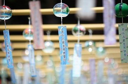 我的反派哥哥小说 我的反派哥哥侠名