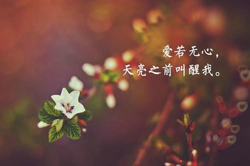 李晚瑜江阳无弹窗 万鬼降临：我将女同桌炼成鬼奴李晚瑜江阳全文免费阅读