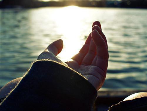 苏枝夏苏行慎傅庭州全文阅读最新 苏枝夏苏行慎傅庭州小说目录