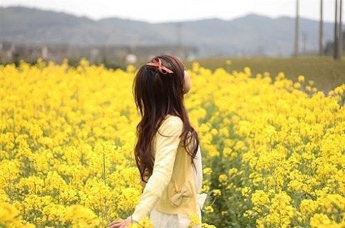 老祖一朝诈尸起，群鬼哭跪九万里闻观月沈莠免费章节试读