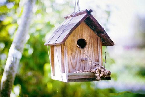 齐明远程曦大结局免费阅读 齐明远程曦全文小说