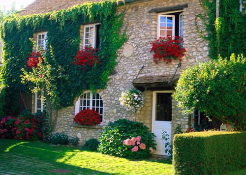 沈沐晏宋伊菀免费全文 沈沐晏宋伊菀小说在线阅读