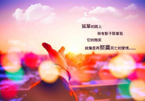 陈书记心尖尖上的人陈明哲赵曙曼by金钰坤