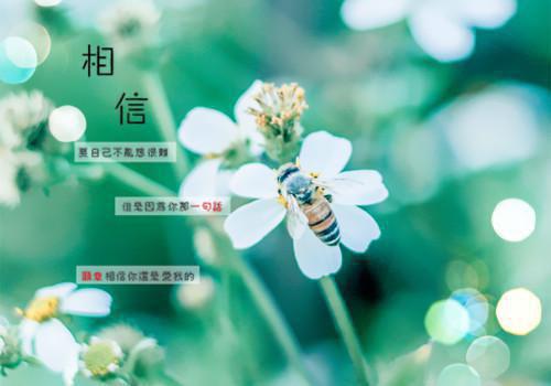 大佬的小祖宗又造反了：结局+番外新上热文（谢清浅夜擎琛）:全文+番外+纯净版结局