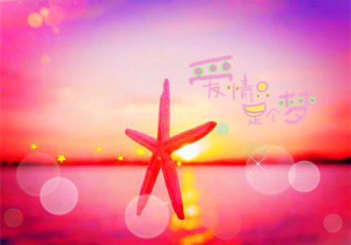 (抖音小说)林秋恩宋逾白小说全文阅读免费