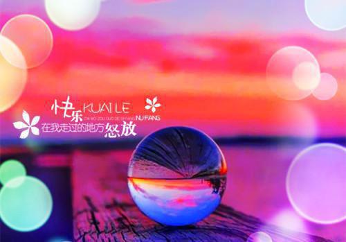顾卫霆安笙小说（七零花落不梦君）起点章节+全篇阅读热门作品预订
