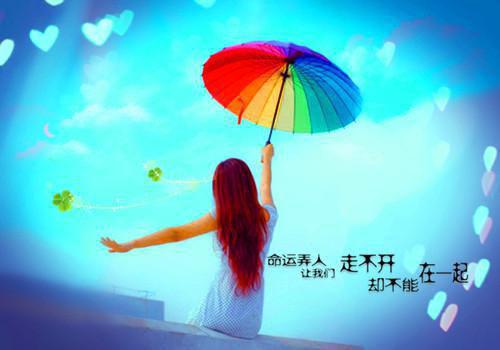 可惜我不是你的神明降临程醉许恩念小说在线免费阅读(大结局)