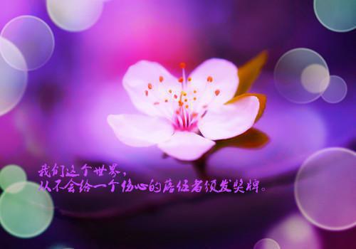 权色倾天下小说完整版 李崇德谢忱隐在线阅读
