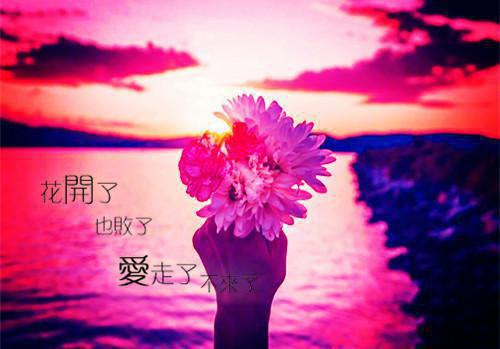 离恨覆江山老书虫（萧墨川温洛颜）已完结，离恨覆江山老书虫已完结