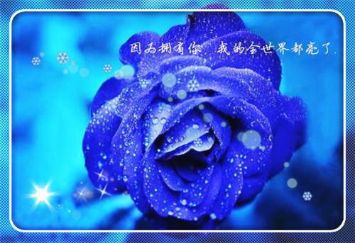 羽化登仙前一晚，妻子放弃神体助她徒弟飞升免费读全文 络祺涓蕙小说无弹窗