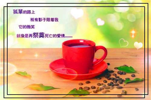 季冉竹秦则漠全文免费大结局 季冉竹秦则漠小说在线阅读