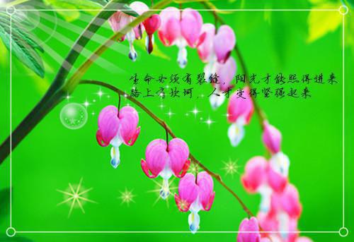 小说方齐(方齐)已更新+无删减（战争绘卷）