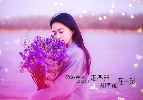 顾笙笙顾砚霆小说章节目录 顾笙笙顾砚霆免费阅读第三章