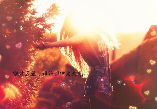 傅宴礼程念林晚星傅澜主角的书 高考前，他们让我签放弃继承权全文+番外全文阅读免费