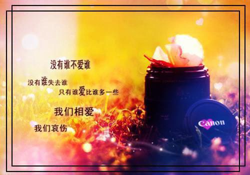 重生后，我让渣男机长和他的白月光自食恶果最新章节 张雯晴林晓晓在线阅读