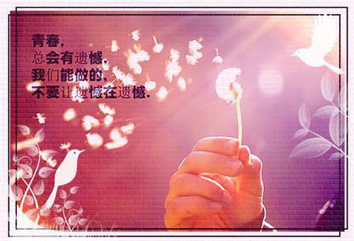 梦里凋零的红蔷薇首发小说 沈跃顾蔷薇在线阅读